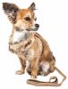 Pet Life  Luxe 'Furracious' 2-In-1 Mesh Reversed Adjustable Dog Harness-Leash W/ Removable Fur Collar