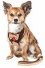 Pet Life  Luxe 'Dapperbone' 2-In-1 Mesh Reversed Adjustable Dog Harness-Leash W/ Fashion Bowtie