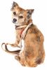 Pet Life  Luxe 'Dapperbone' 2-In-1 Mesh Reversed Adjustable Dog Harness-Leash W/ Fashion Bowtie