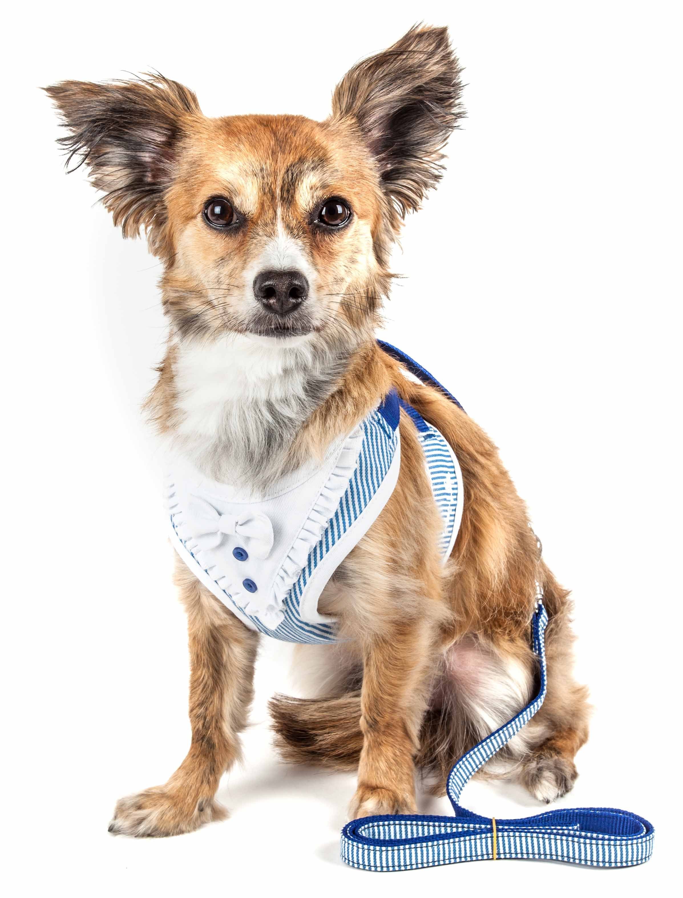 Pet Life  Luxe 'Spawling' 2-In-1 Mesh Reversed Adjustable Dog Harness-Leash W/ Fashion Bowtie