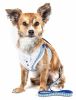 Pet Life  Luxe 'Spawling' 2-In-1 Mesh Reversed Adjustable Dog Harness-Leash W/ Fashion Bowtie