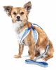 Pet Life  Luxe 'Spawling' 2-In-1 Mesh Reversed Adjustable Dog Harness-Leash W/ Fashion Bowtie