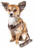 Pet Life  Luxe 'Houndsome' 2-In-1 Mesh Reversible Plaided Collared Adjustable Dog Harness-Leash