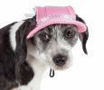 Pet Life  'Sea Spot Sun' Uv Protectant Adjustable Fashion Mesh Brimmed Dog Hat Cap