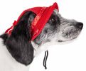 Pet Life  'Sea Spot Sun' Uv Protectant Adjustable Fashion Mesh Brimmed Dog Hat Cap