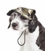 Pet Life  'Torrential Downfour' Camouflage Uv Protectant Adjustable Fashion Dog Hat Cap