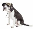Pet Life  'Torrential Downfour' Camouflage Uv Protectant Adjustable Fashion Dog Hat Cap