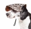 Pet Life  'Cheetah Bonita' Cheetah Patterned Uv Protectant Adjustable Fashion Dog Hat Cap
