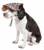 Pet Life  'Cheetah Bonita' Cheetah Patterned Uv Protectant Adjustable Fashion Dog Hat Cap