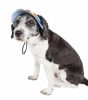Pet Life  'Colorfur' Uv Protectant Adjustable Fashion Canopy Brimmed Dog Hat Cap