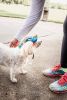 Pet Life  'Colorfur' Uv Protectant Adjustable Fashion Canopy Brimmed Dog Hat Cap