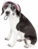 Pet Life  'Botanic Bark' Floral Uv Protectant Adjustable Fashion Canopy Brimmed Dog Hat Cap