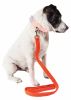Pet Life  'Aero Mesh' Dual Sided Comfortable And Breathable Adjustable Mesh Dog Leash