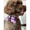 Kitsune shiny pink collar