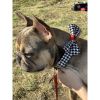 Red leather houndstooth collar & bow tie